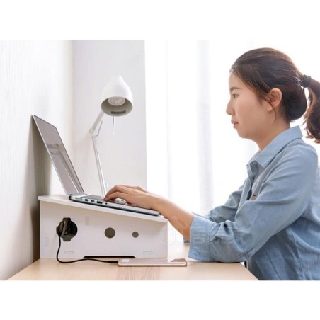 استند لپ تاپ رومیزی