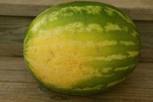هندوانه رسیده